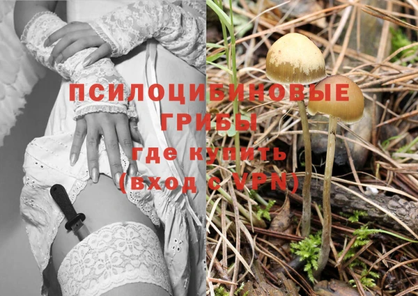 круглые Богданович