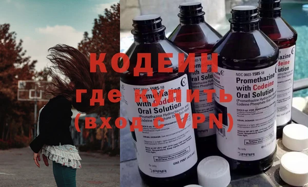 мдпв Инсар