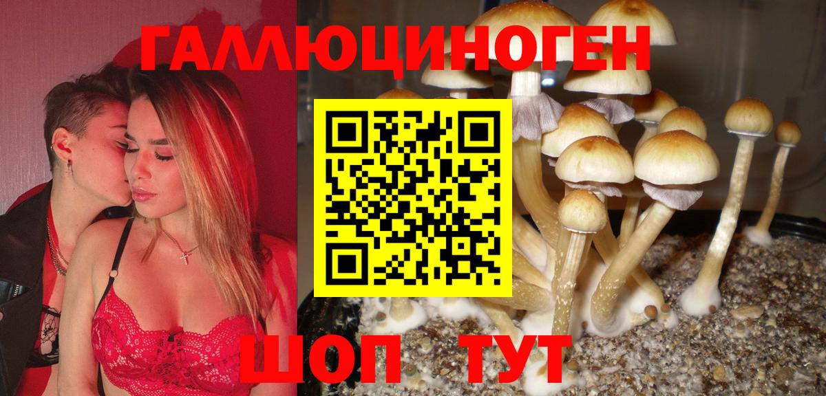 Великие Луки  Псилоцибиновые грибы GOLDEN TEACHER  Вход с VPN  Псилоцибиновые грибы Cubensis 