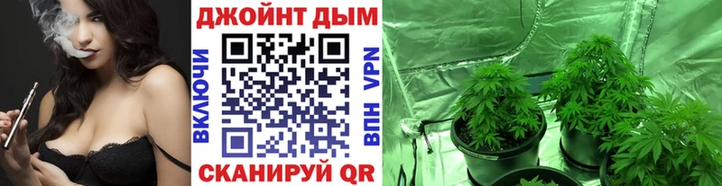 сколько стоит Великие Луки Бошки Шишки планчик